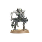 Immortals Necrons Warhammer 40k W40k