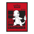Charmander 65ct Sleeves Pokemon Ultra Pro