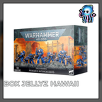 Intercessor Squad Space Marines Warhammer 40k W40k