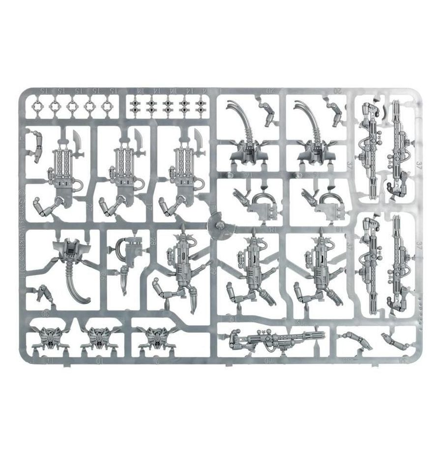 Immortals Necrons Warhammer 40k W40k