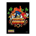 "Spot and Dot" Team Up Gear Up 65ct Standard Sized Sonic the Hedgehog Ensky Sleeves